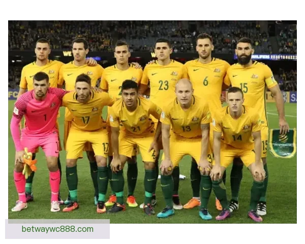 世界杯竞猜游戏全程体验攻略让你尽享互动乐趣与赛事激情