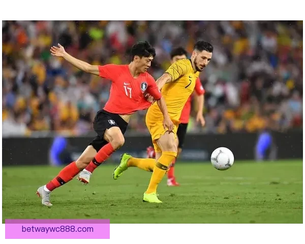 世界杯胜负预测推荐 解析热门赛事走势与投注策略