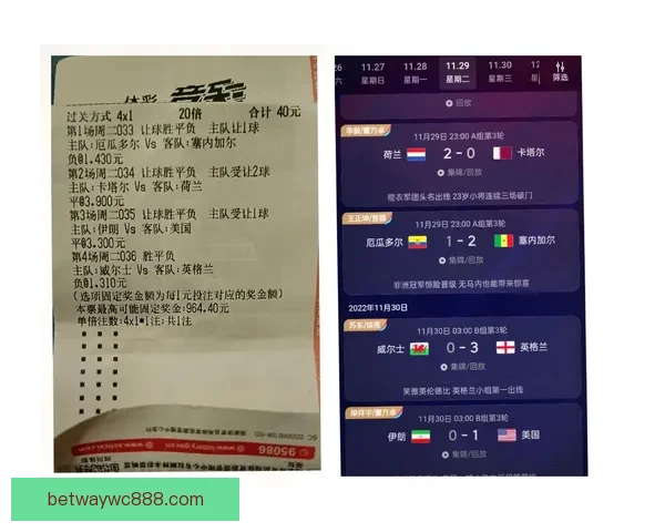 世界杯竞猜胜负全解析与策略指南助你精准预测比赛结果